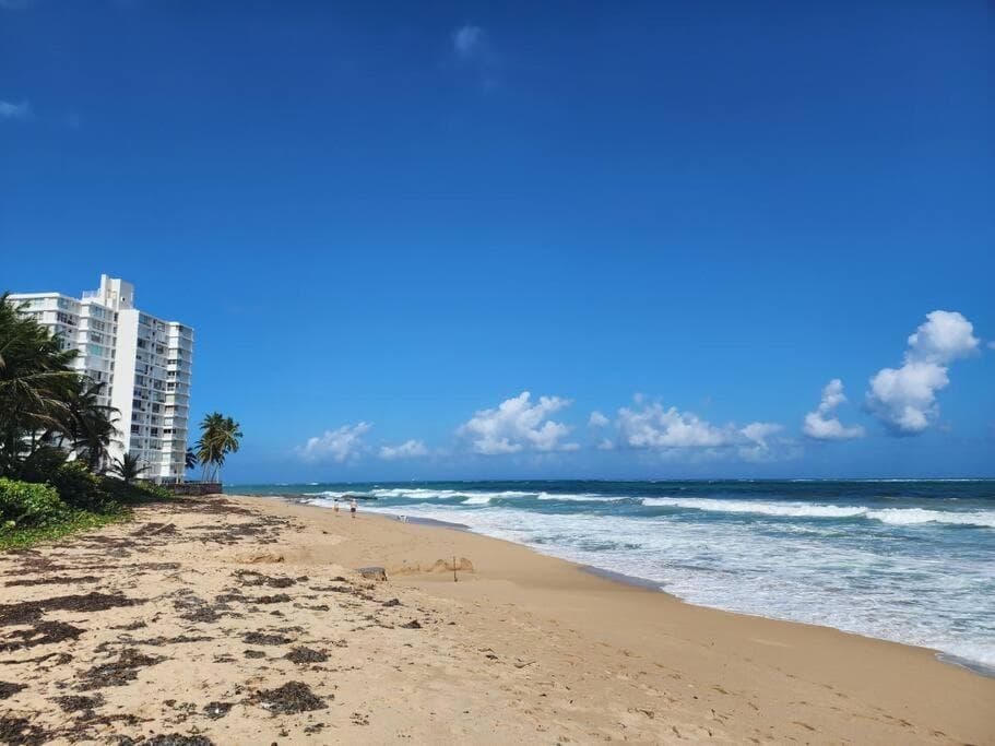 Gorgeous 1-Bedroom Beachside Suite