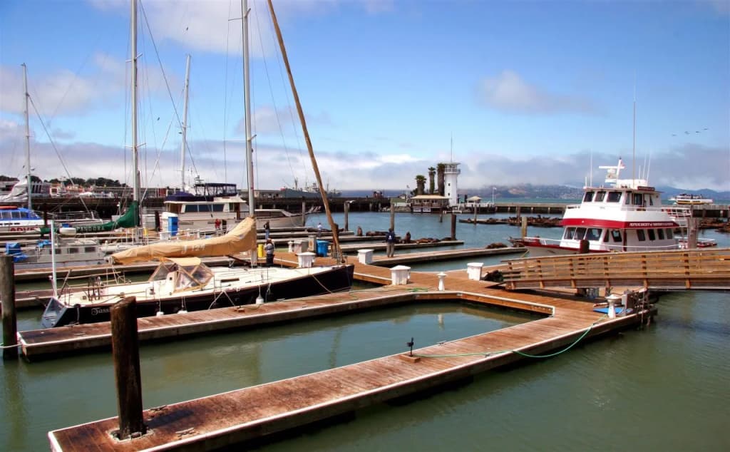 Marina & Cow Hollow