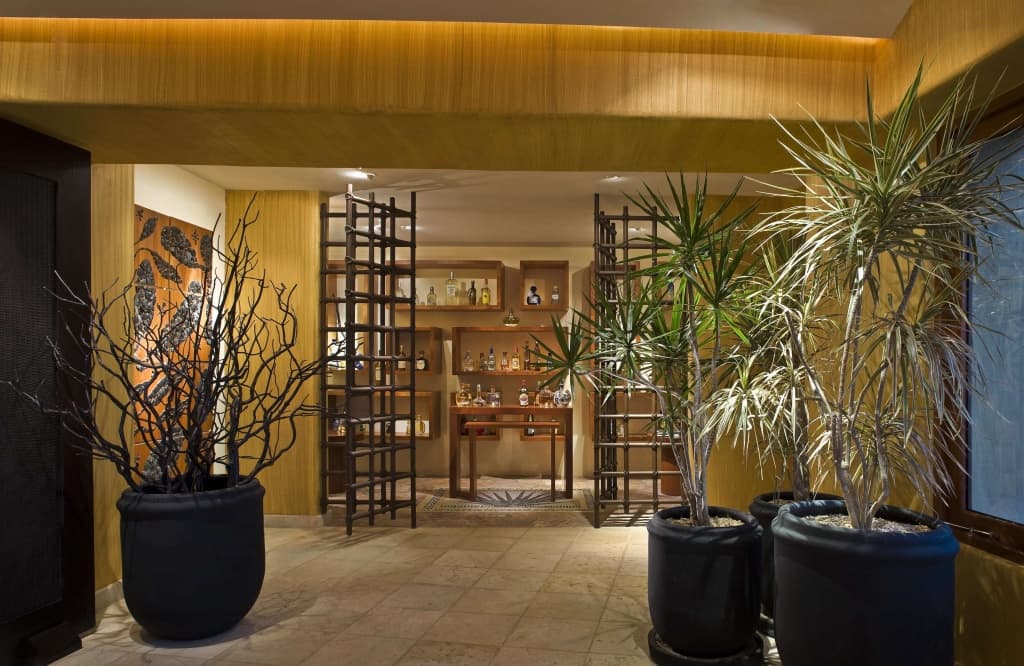 Cala de Mar Resort & Spa Ixtapa