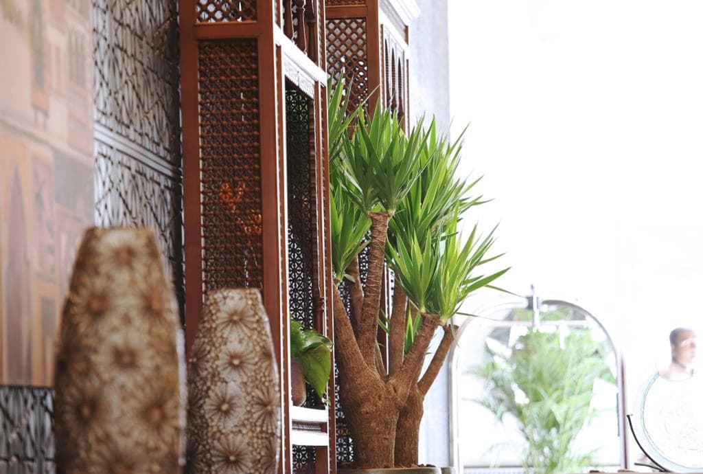 Spectrums Tahlia Jeddah