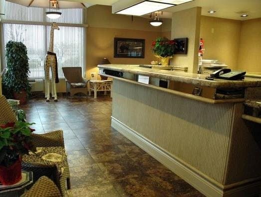 Safari Inn Downtown