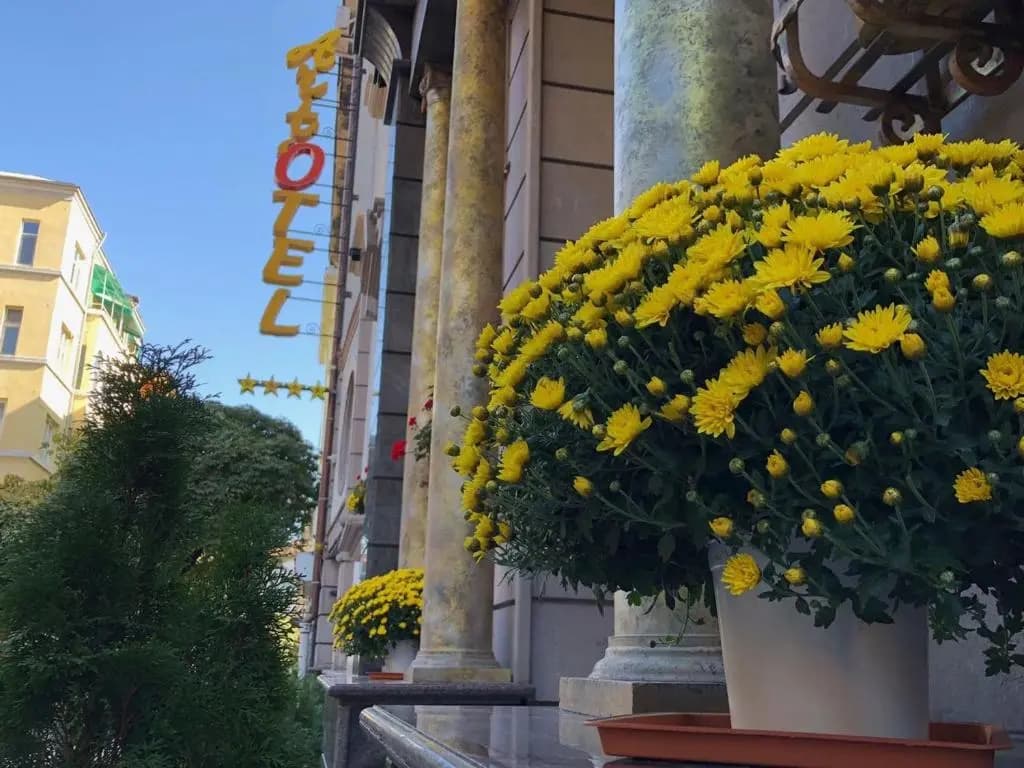 Art Hotel